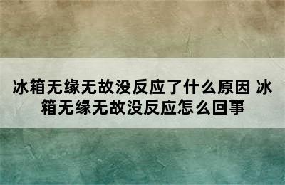 冰箱无缘无故没反应了什么原因 冰箱无缘无故没反应怎么回事